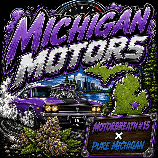 MICHIGAN MOTORS