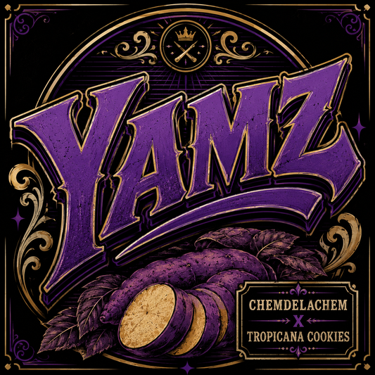YAMZ