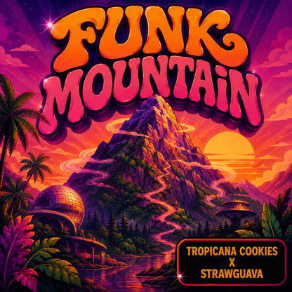 FUNK MOUNTAIN