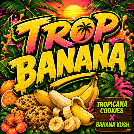TROP BANANA