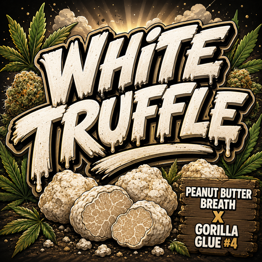 WHITE TRUFFLE