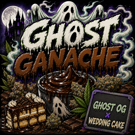 GHOST GANACHE