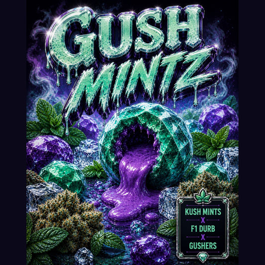 GUSH MINTZ