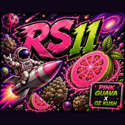 RS11