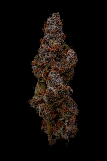 Funk Mountain flower, as labeled by the cited image source