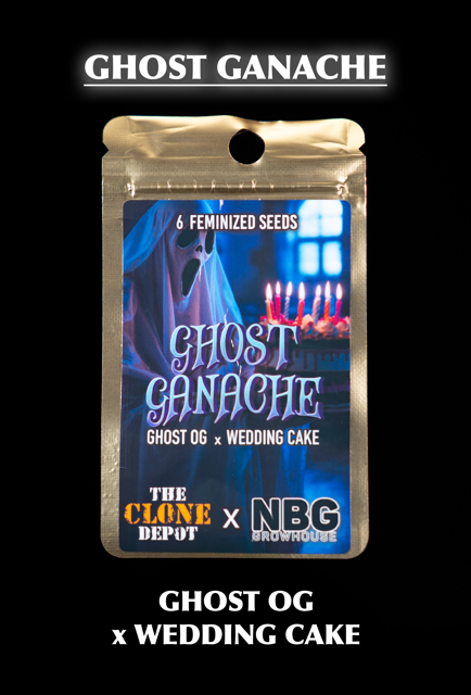 GHOST GANACHE