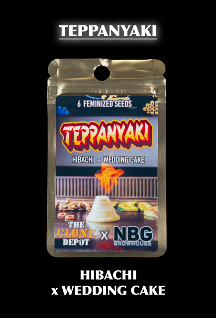 TEPPANYAKI